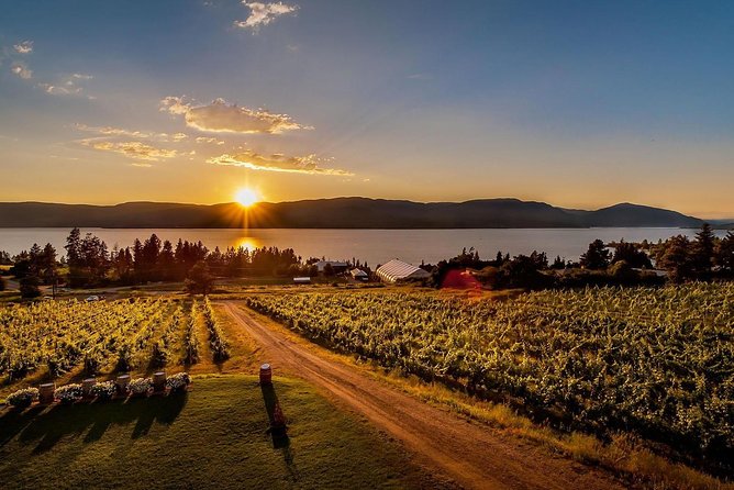 Okanagan Deluxe Wine Toasting Tour - The Sum Up