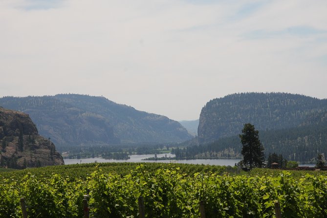Okanagan Falls Private Wine Tour - Full Day - Sampling Different Varietals