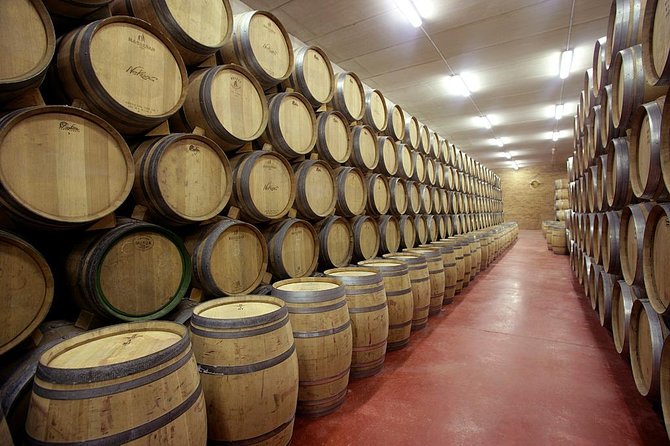 Olive Oil and Navarre Winery Visit With Tastings and Lunch in Small Group Tour - Navarre Winery Visit
