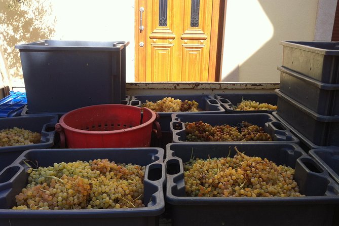 Olive Oil & Wine Now & Then Luxury Private Experience - Cancellation Policy