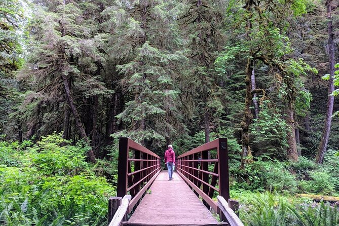 Olympic National Park - Private Luxury Day Tour With Lunch - Reviews