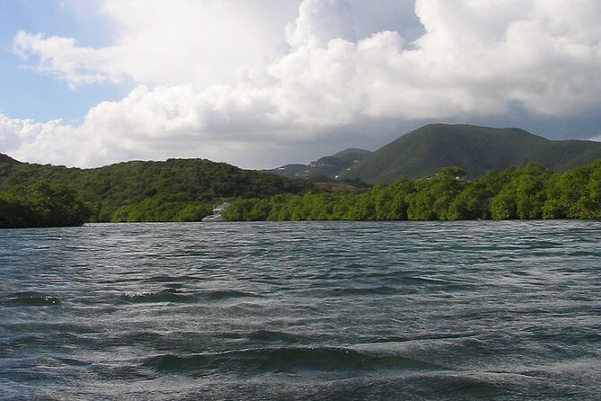 On Your Own: Kayak in the Mangrove Lagoon - Directions