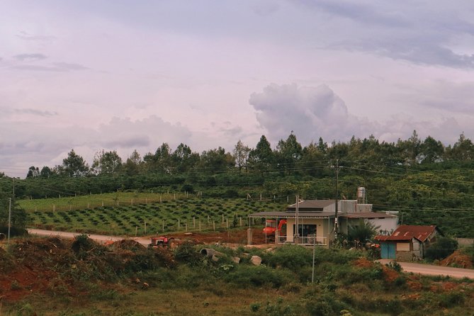 One Day for Kayaking and Camping in Da Lat - Common Questions