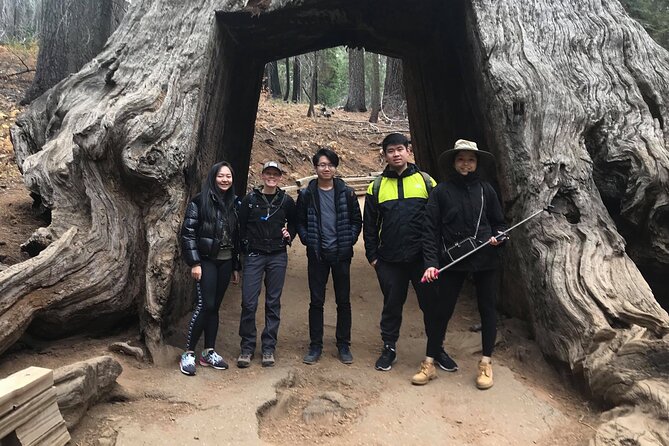 One Day In Yosemite Private Tour:Yosemite Valley, Glacier Point & Giant Sequoias - Reviews and Testimonials