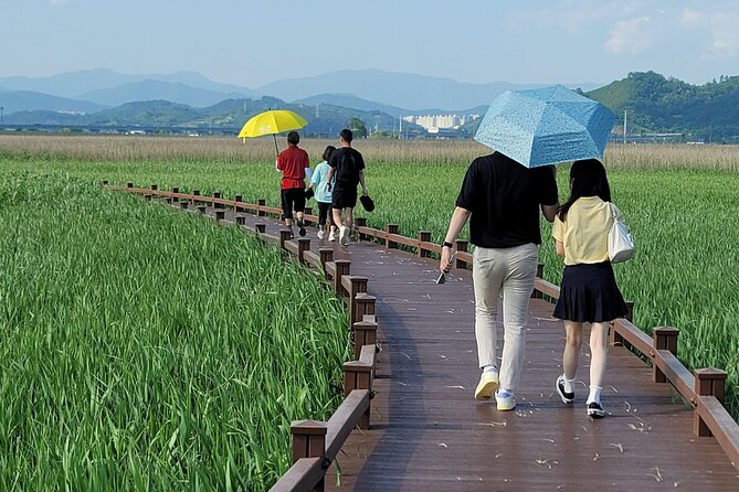 One Day Tour in Boseong Tea Plantation & Suncheon National Garden - Local Cuisine Experience