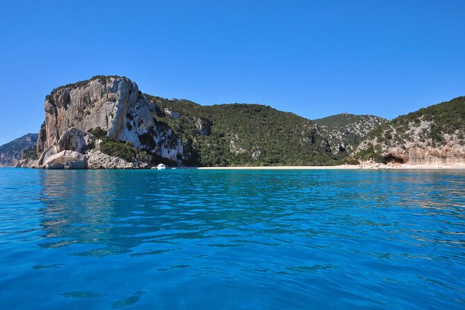One Day Tour in Rubber Dinghy in the Gulf of Orosei With Skipper - Reviews