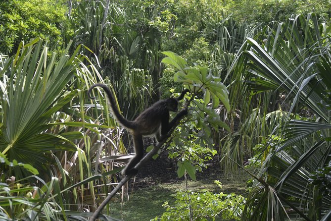 One Day Tour to Chacchoben Mayan City and Bacalar Lagoon With a Certified Guide - Zona Arqueologica De Chaachoben