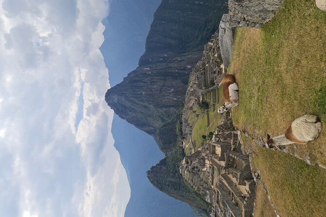 One Day Tour to Machu Picchu Private Service - The Sum Up