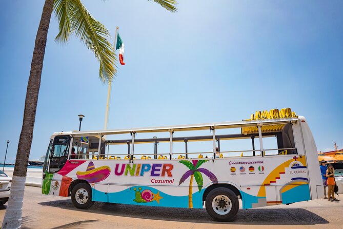 Open Top City Tour & Beach Break - Transportation Options