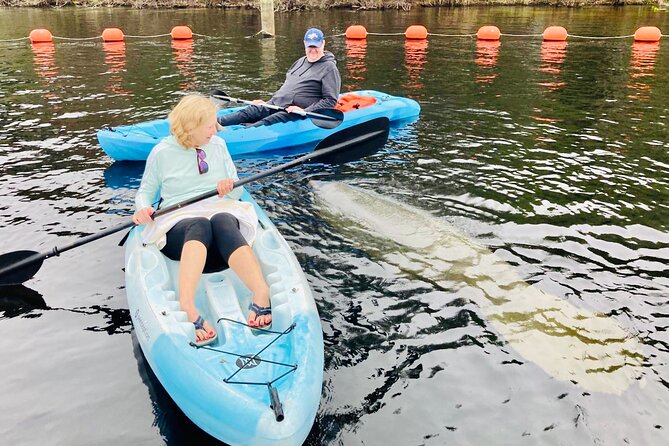Orlando Manatee and Natural Spring Adventure Tour at Blue Springs - Professional Tour Guides and Experiences