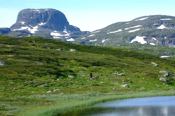 Oslo To Sognefjord Private Full Day Roundtrip Including Flam Railway - Pick-Up From Oslo Hotels and Private Addresses