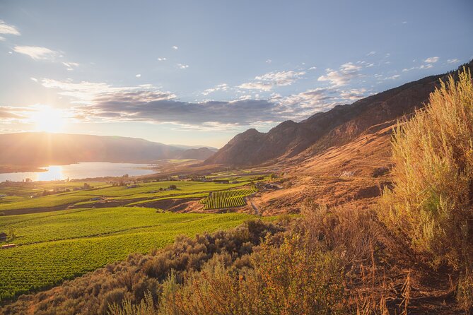 Osoyoos & Oliver Sip Disturber Half Day Wine Tour - Pickup and Drop-off Details
