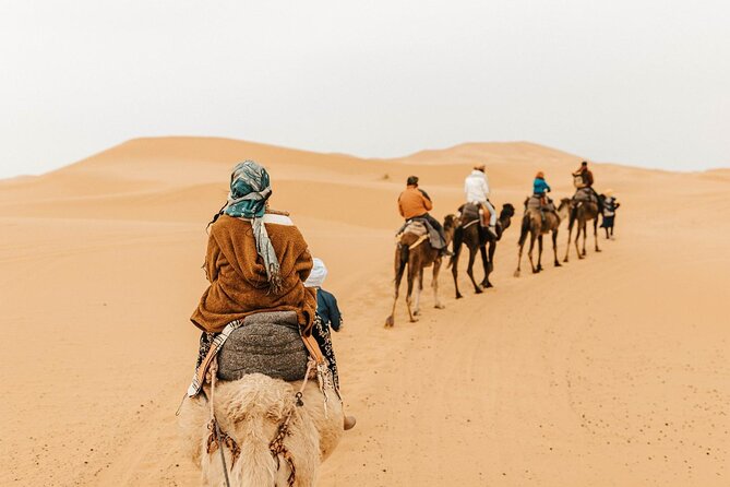 Overnight Camel Trek Over Erg Chebbi Dunes Merzouga - What To Expect