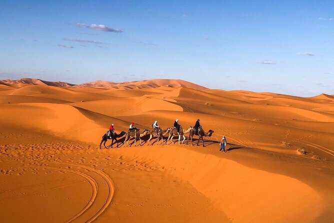 Overnight Stay in Desert Camp & Camel Trekking - Traveler Photos