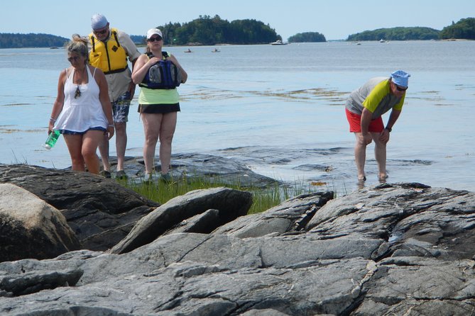 Oyster Farm & Complimentary Tasting Sea Kayak Tour in Casco Bay - Reviews