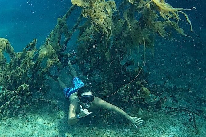 Paddle and Snorkel in Cenote - Riviera Maya - Common Questions