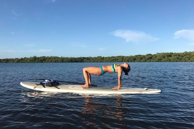 Paddle Boarding Rentals - Activity Details