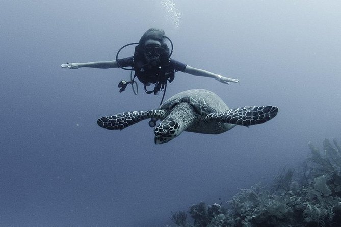 PADI Discover Scuba Diving - Meeting and Pickup Details