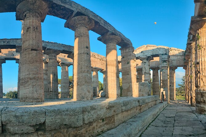 Paestum Traditions, Buffaloes, Ceramics, Temples - Art of Ceramics