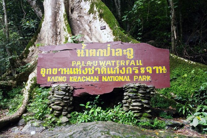 Pala U Waterfall in Kaeng Krachan Jungle With Private Guide From Hua Hin - Nature Lovers Paradise: Experience the Beauty