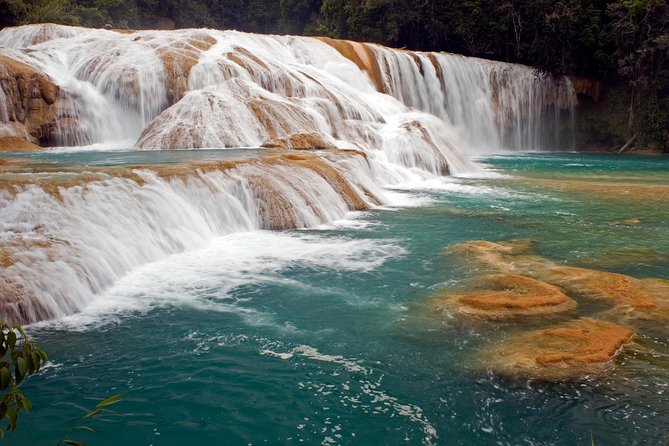 Palenque Mayan Ruins, Misol-Ha and Agua Azul Waterfalls Full Day Tour From Palenque - Positive and Negative Feedback From Previous Travelers