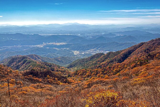 Palgongsan Natural Park Autumn Foliage One Day Tour From Busan - Important Information