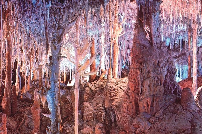 Palma De Mallorca Half-Day to Caves of Hams, Blue Cave and Film - End of Tour