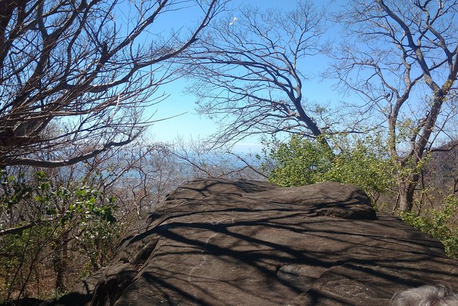 Palma Sola Petroglyphs Archaeological & City Market W/Lunch - Tour Overview