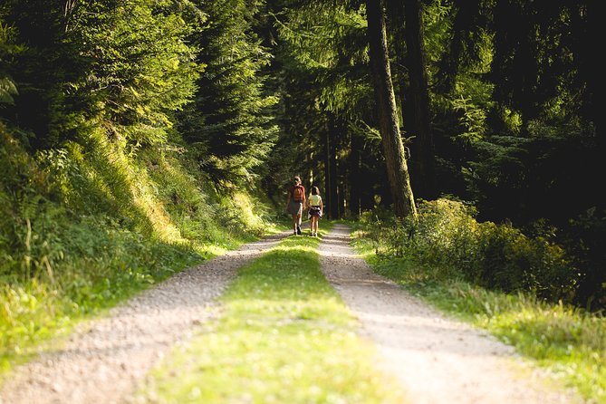 Panorama Hike Through the Black Forest Guided by a Local - Common Questions