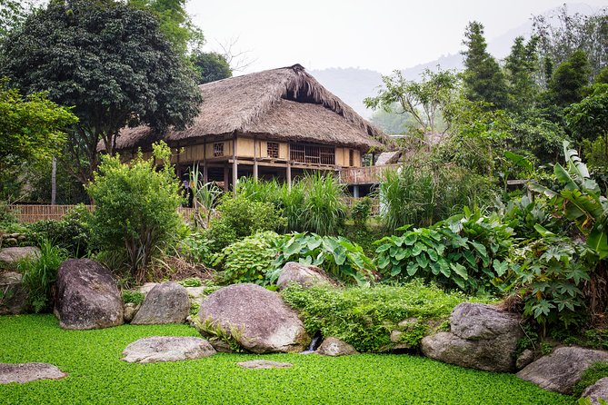 Panorama Of Unexplored Ha Giang Tour 4 Days - Transportation and Logistics