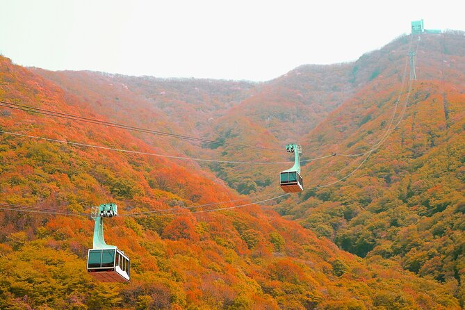 Panoramic Yeongnam Alps Gondola Autumn Foliage Tour From Busan - Highlights and Attractions