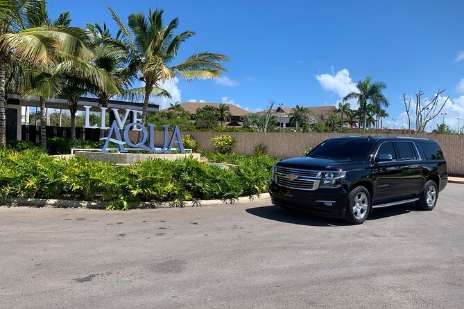 Paradise on Wheels: Premier Luxury Suburban in Punta Cana" - Activity Information