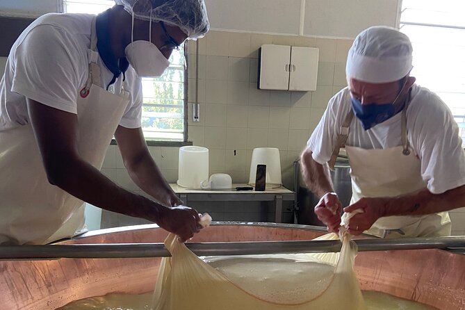 Parmigiano-Reggiano Cheese Factory Small Group Tour From Parma - Reviews