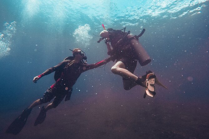 Pattaya PADI Scuba Diving Two Exciting Try Dives With PADI Instructor in Pattaya - Scuba Diving Equipment Provided