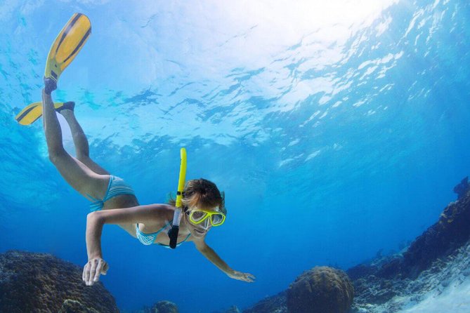 Pattaya Snorkeling Coral Island Full Day Tour With Round Trip Service and Lunch - Reviews