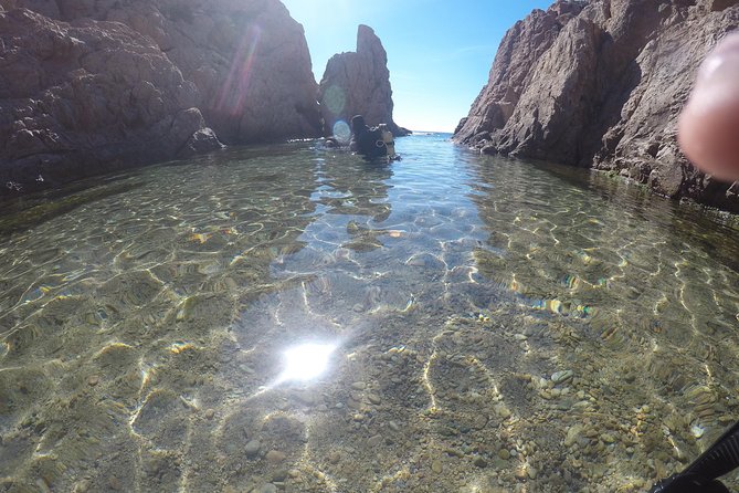 Pequeño Grupo De Buceo Bautismal En Girona. - Overall Rating and Review Breakdown
