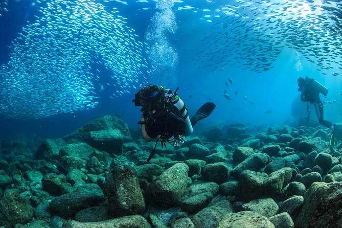 Personalized Fun Dive With 2 Tanks in Cabo San Lucas - Dive Sites and Marine Life
