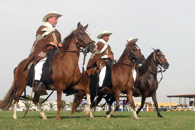 Peruvian Paso Horse & Marinera With Lunch at Trujillo - Additional Information
