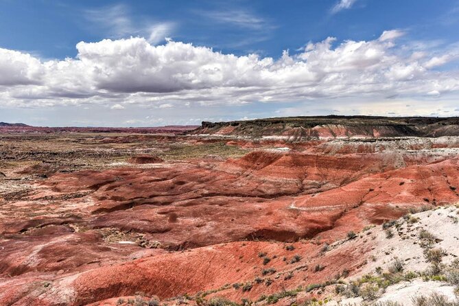 Petrified Forest National Park Self-Guided Driving Audio Tour - How It Works