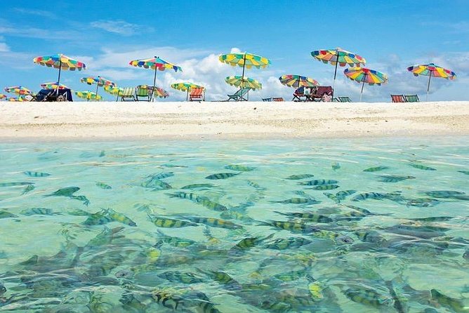 Phi Phi Green & Khai Islands - Beach Hopping Experience