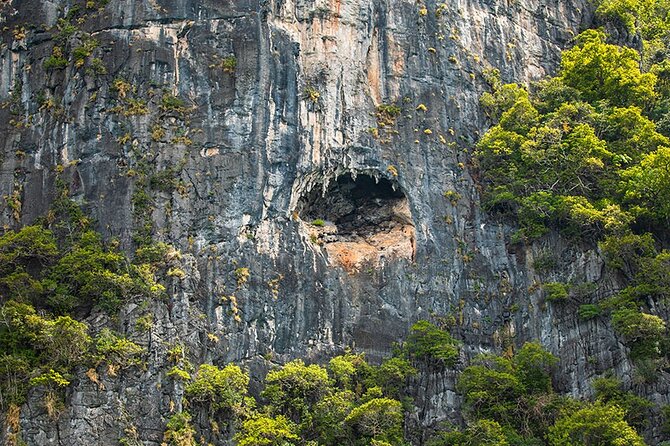 Phi Phi, Maya, Khai and Pileh Day Trip by Speed Catamaran From Phuket - Maya Bay and Khai Island Visit