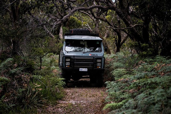 Phillip Island and French Island Wildlife Expedition - Reviews and Ratings
