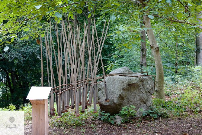 Photo Tour and Artworks in the Capriasca Redde Wood - Important Booking Information