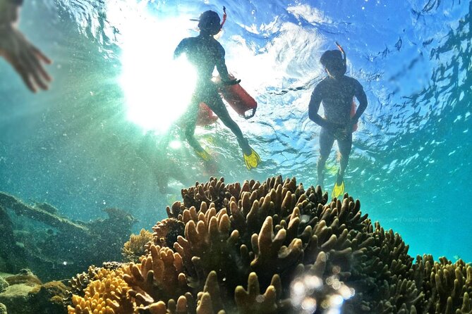 Phu Quoc Private Half-Day Snorkeling Adventure - Common Questions