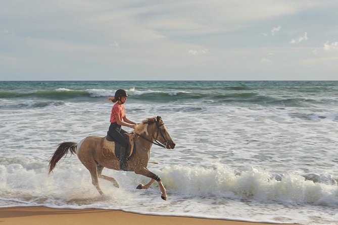Phuket Horse Riding Club - Reviews