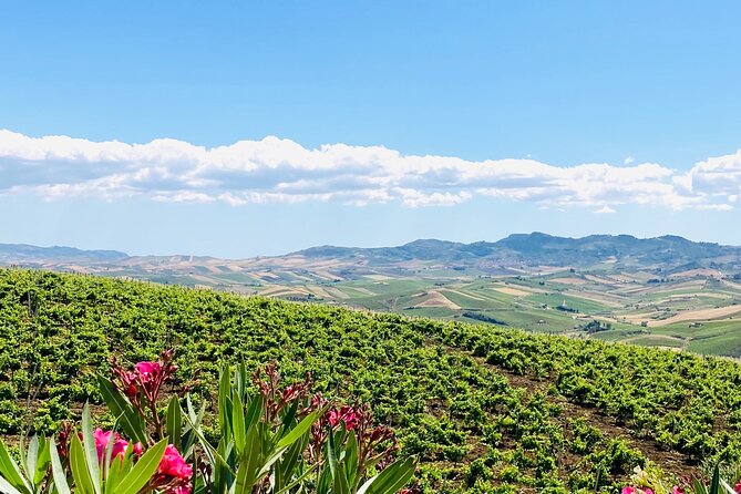 Picnic in an Organic Winery in Alcamo - Traveler Photos