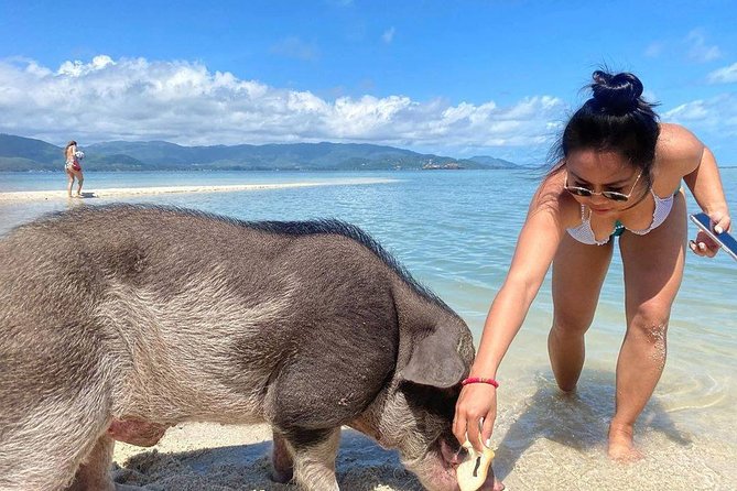 Pig Feeding, Kayaking, Snorkeling Trip at Pig Island By Speedboat From Koh Samui - Cancellation Policy