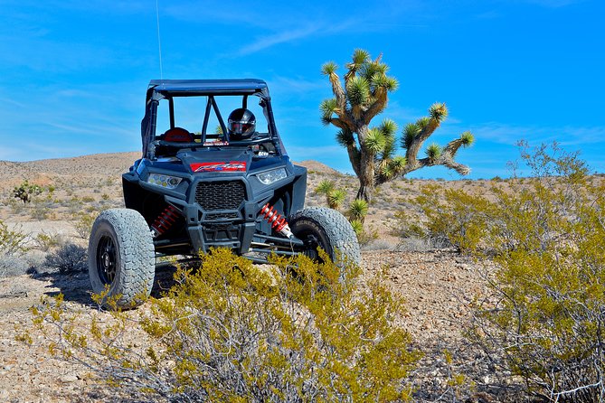 Pioneer Desert Adventure With Lunch at the Historic Pioneer Saloon! - Cancellation Policy Details