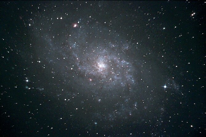 Planetarium and Telescope Combo Tour - Positive Review