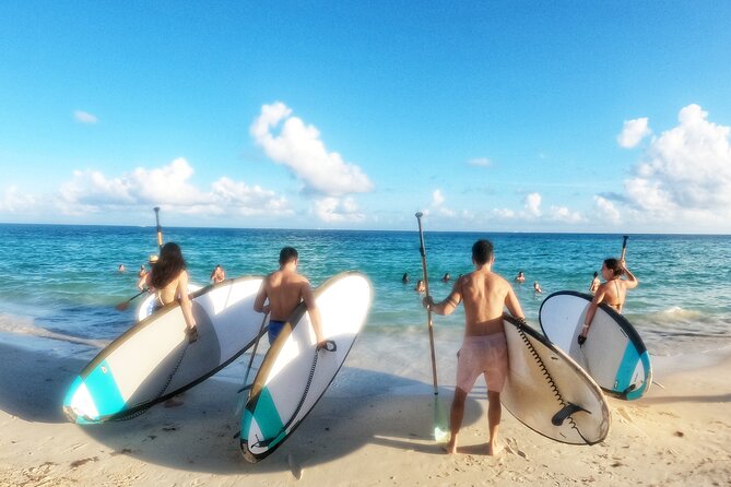 Playa Del Carmen Morning Standup Paddleboarding Session - Expectations and Accessibility